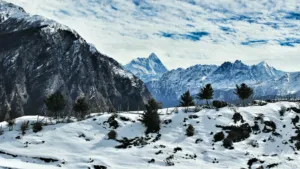 A fence across the snowy slopes of Auli in winter