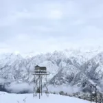 Auli