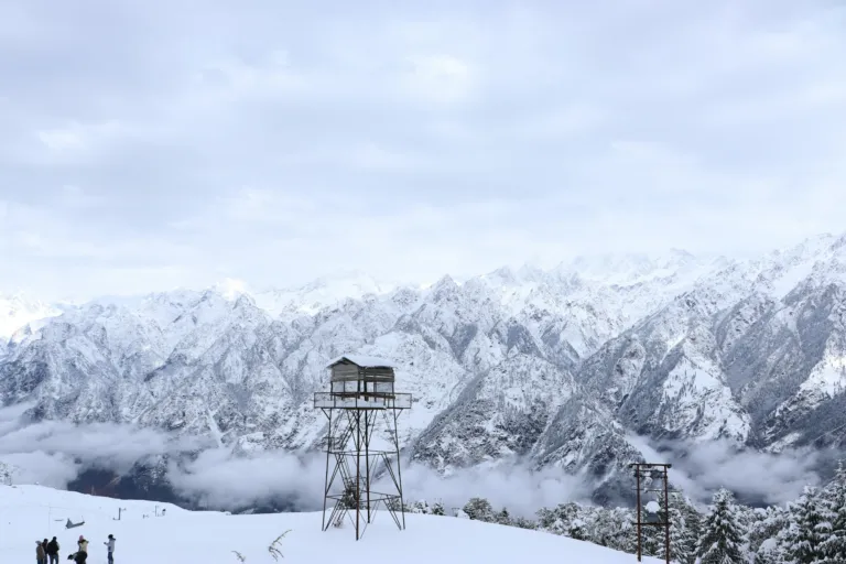 Auli
