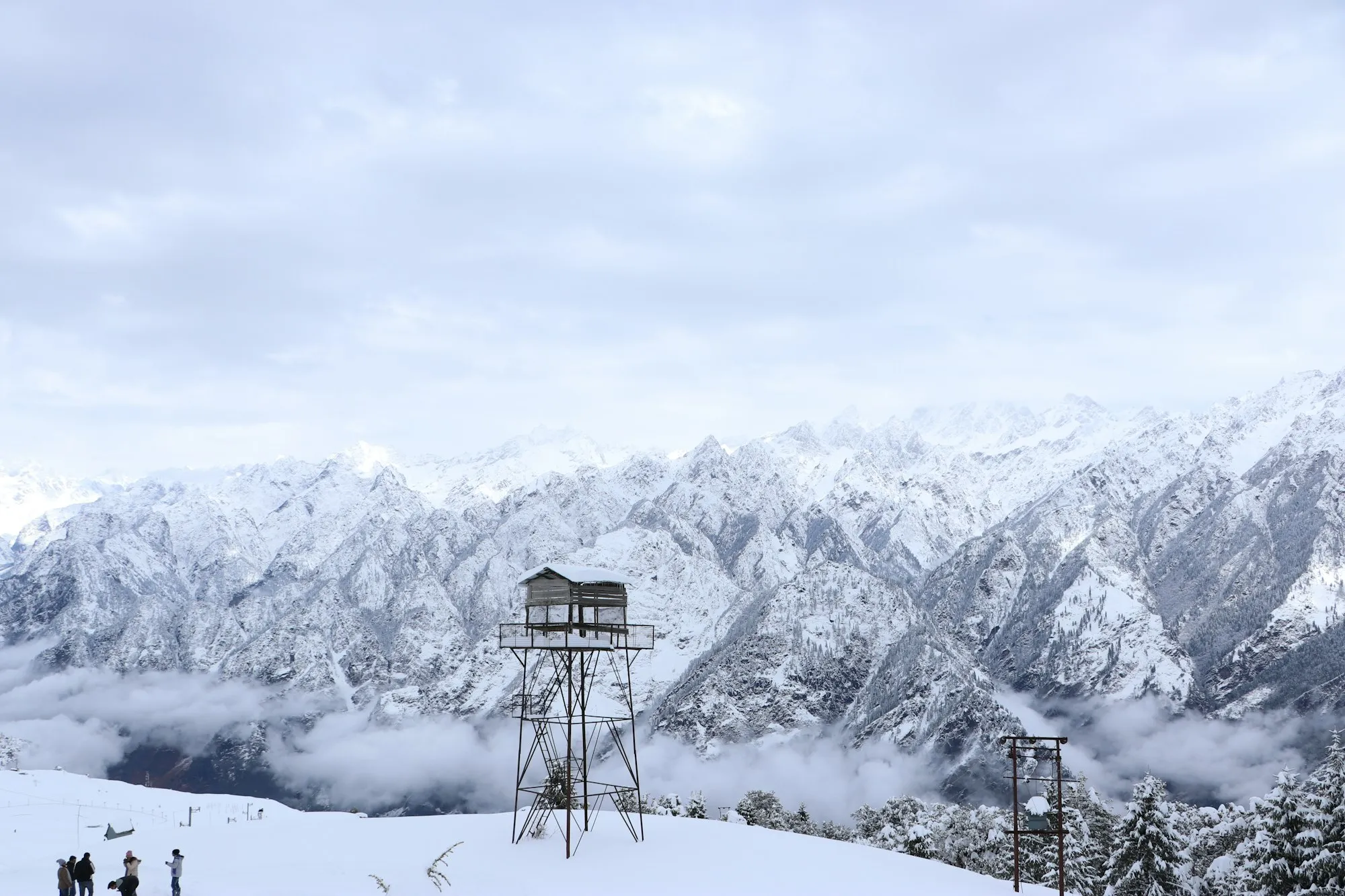 Snow-covered slopes and pine trees at Auli, Uttarakhand