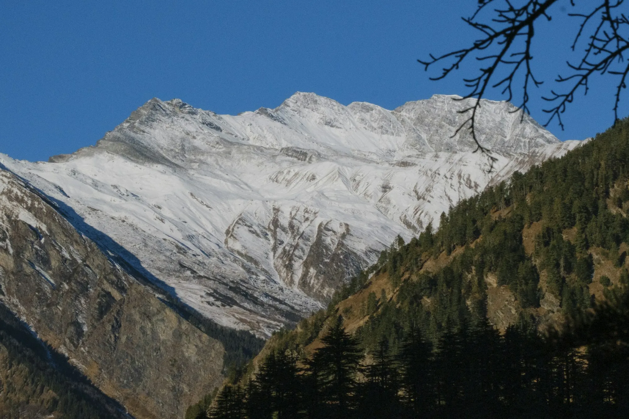 Snow peaks above the deodar forests of the Harsil valley, Uttarkashi (photo: Jaya Shukla, Unsplash)