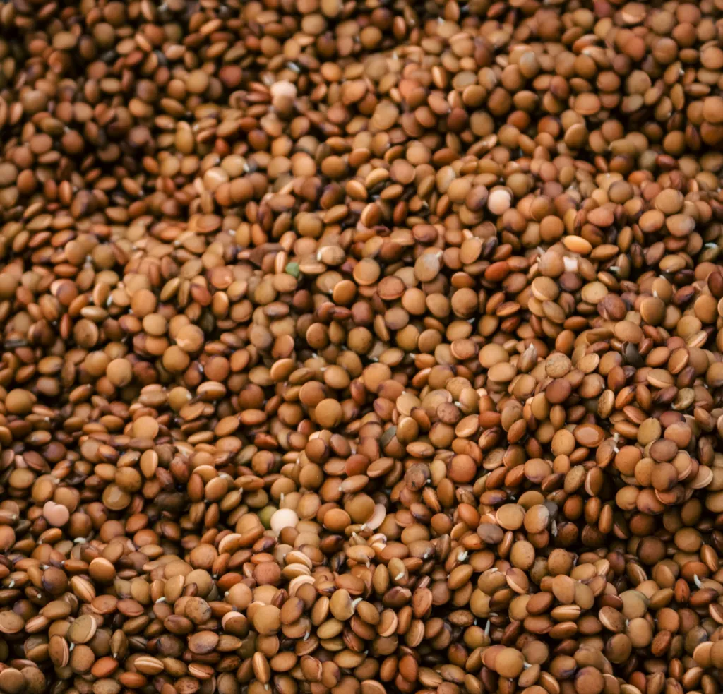 Raw horse gram (gahat) lentils, the usual base for phaanu