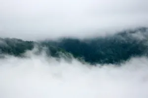 Nag Tibba Trek