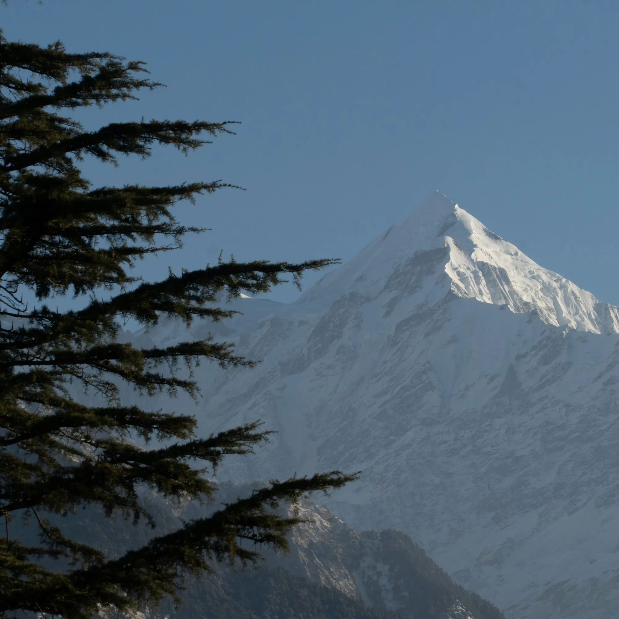 The Panchachuli peaks seen from Munsiyari, Pithoragarh (photo: Amar Singh Rathore, Unsplash)