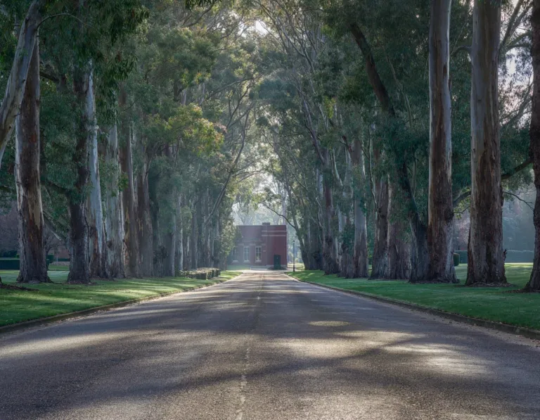 Forest Research Institute (FRI)