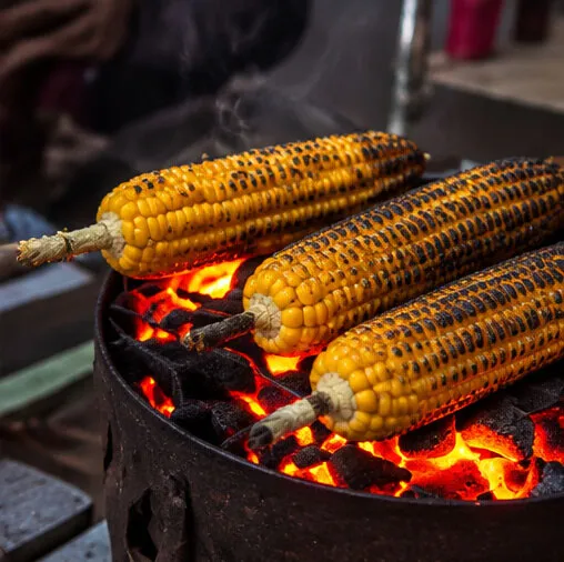 Roasted corn (bhutta)