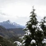 Dhanaulti