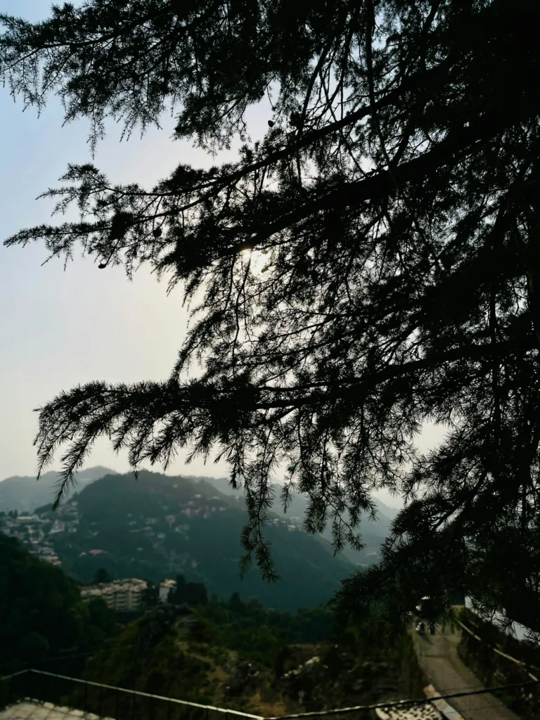 Landour